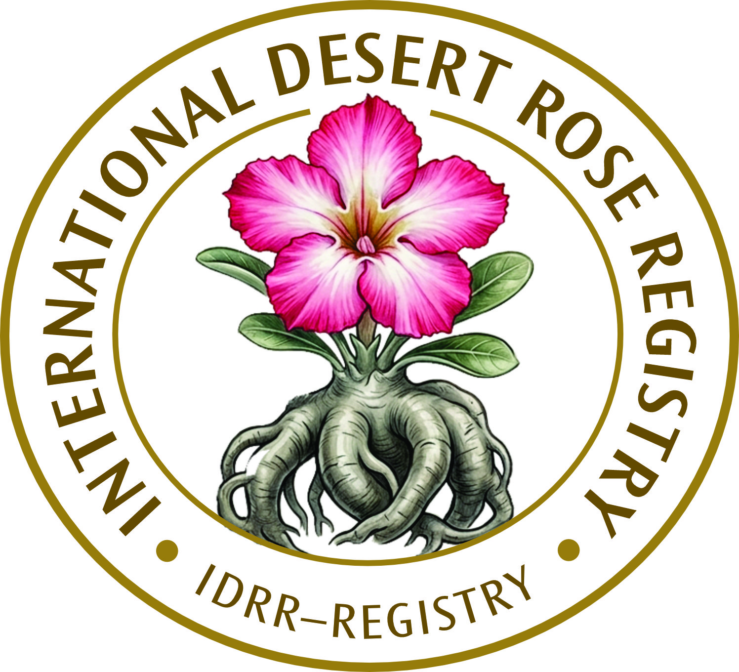 IDRR Logo