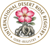 logo_logo